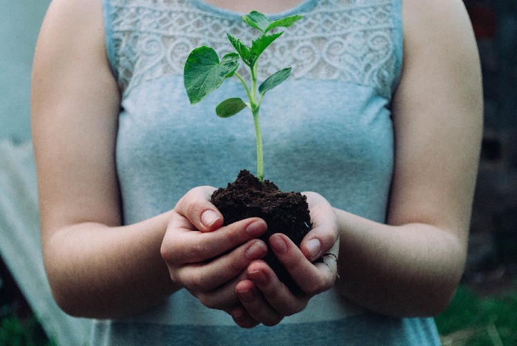 lady holding a seedling in her hands